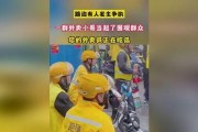 迷你吃鸡射击 