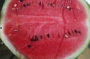 黑料吃瓜网apk普通安装 