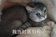 火柴人跳车物理 