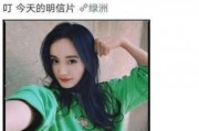 守护偶像女孩汉化版下载 